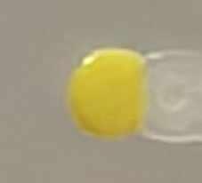 这是啥
说是观赏性的塑料手工制品
不懂就问系列 这到底是啥 什么东西啊 你们肯定