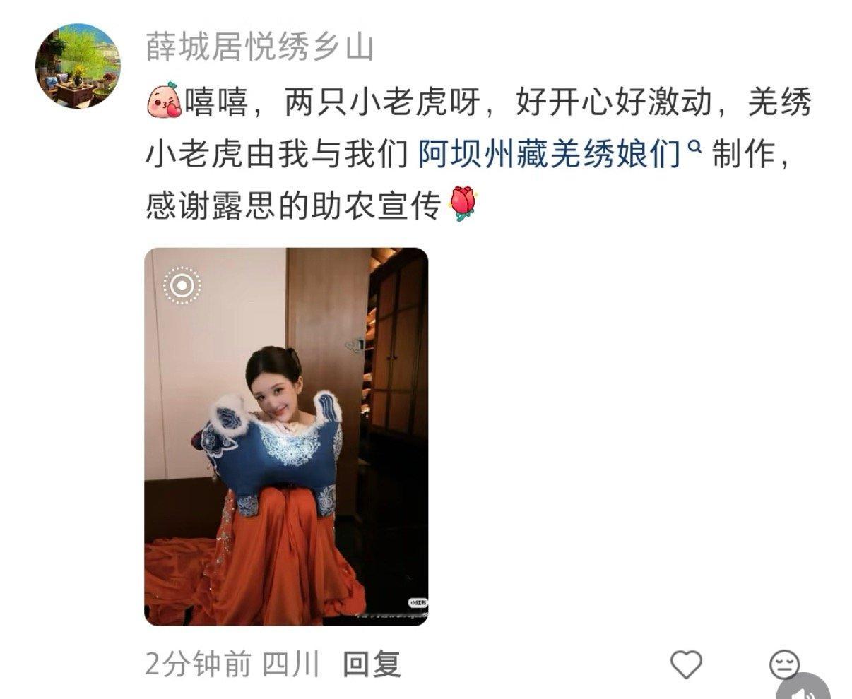 来自大地的祝福，来自民族的青睐，来自大山的厚爱    赵露思手里拿的小老虎原来是