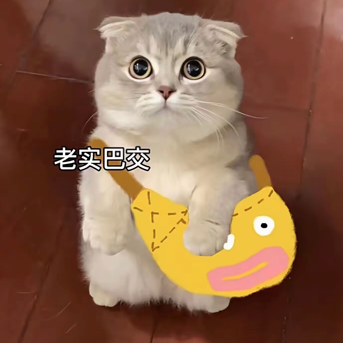 妈呀我跟好多人的铁全掉了🌚摸会鱼发现给谁发都没铁了我滴个乖乖