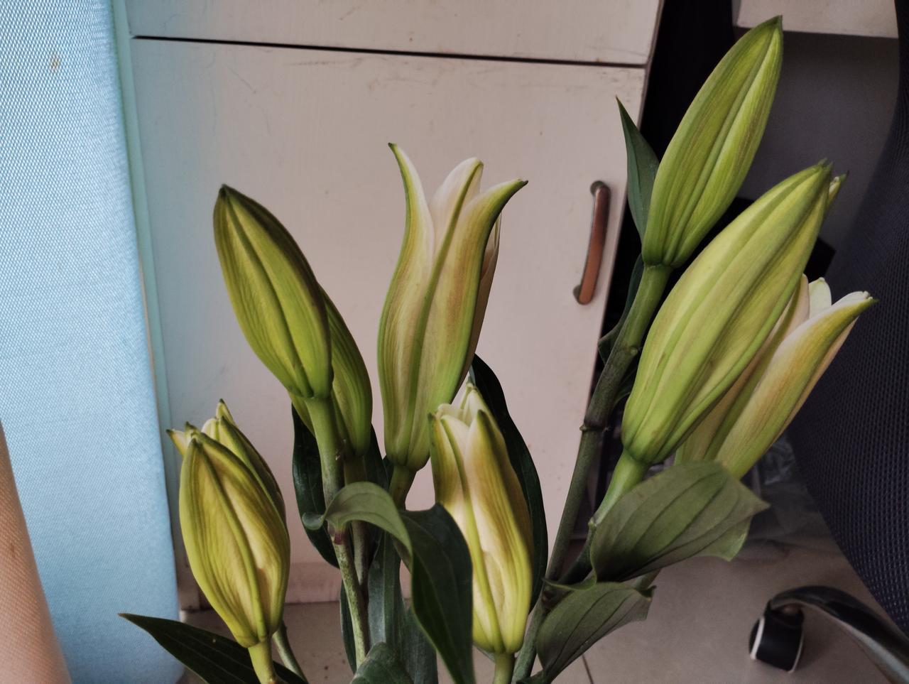 一个人如果没有健康的身体，那还能谈得上事业、家庭吗？