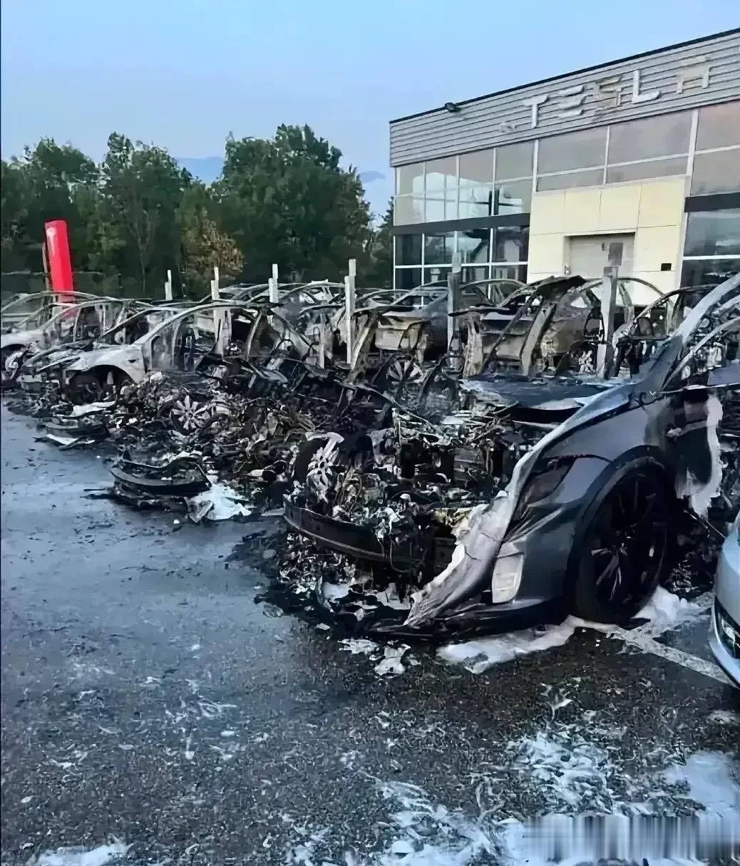 比亚迪又烧了  这是法国媒体的头条报道  法国一家4s店十几辆车烧了  我仔细确