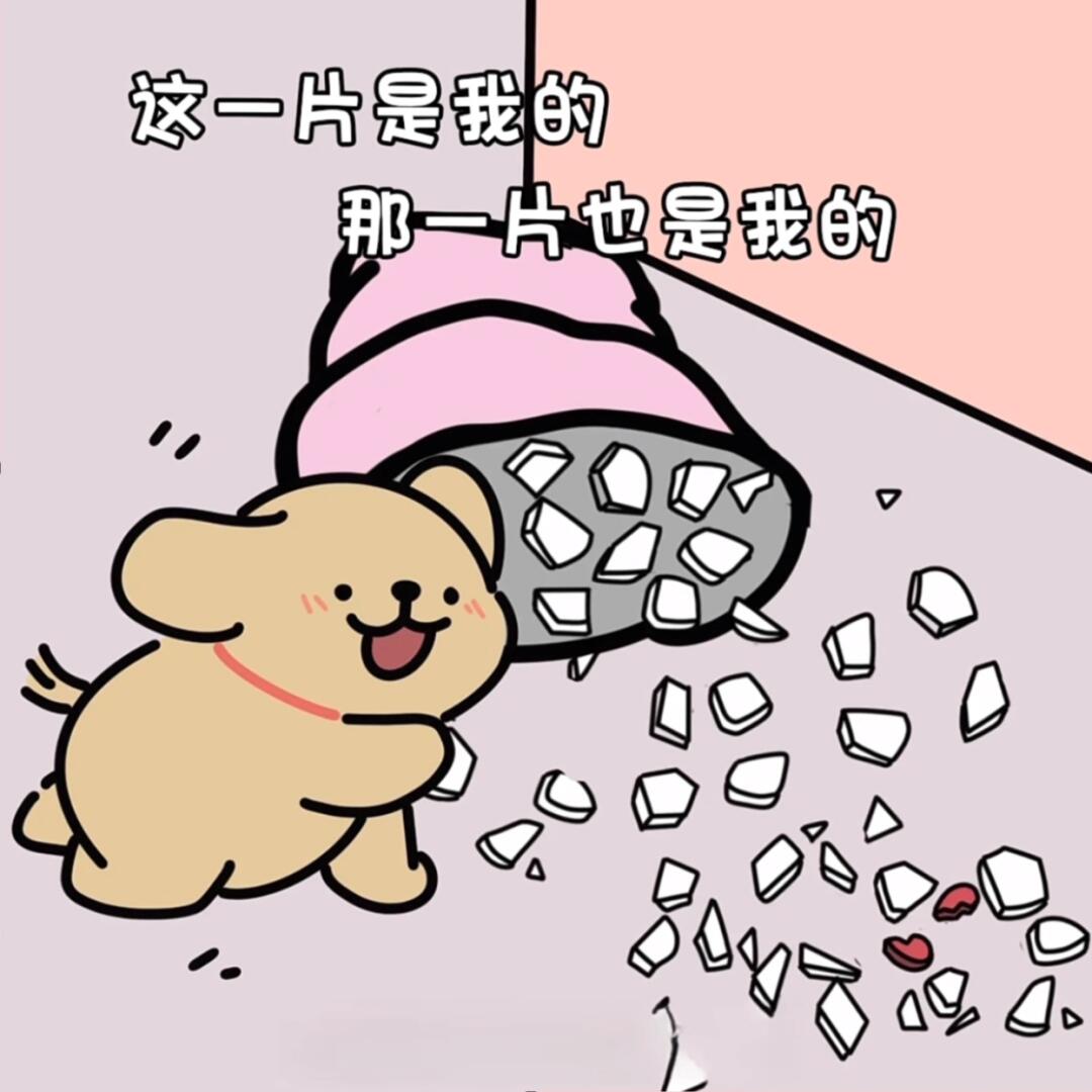 爱你的人会一片片捡起破碎的你