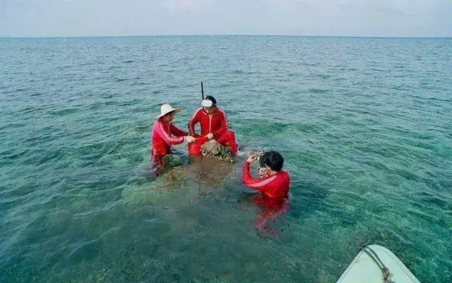 圆满！前天说交通部在南沙火艾礁、牛轭礁和南薰礁附近海域布设了3座灯浮标。今天才知