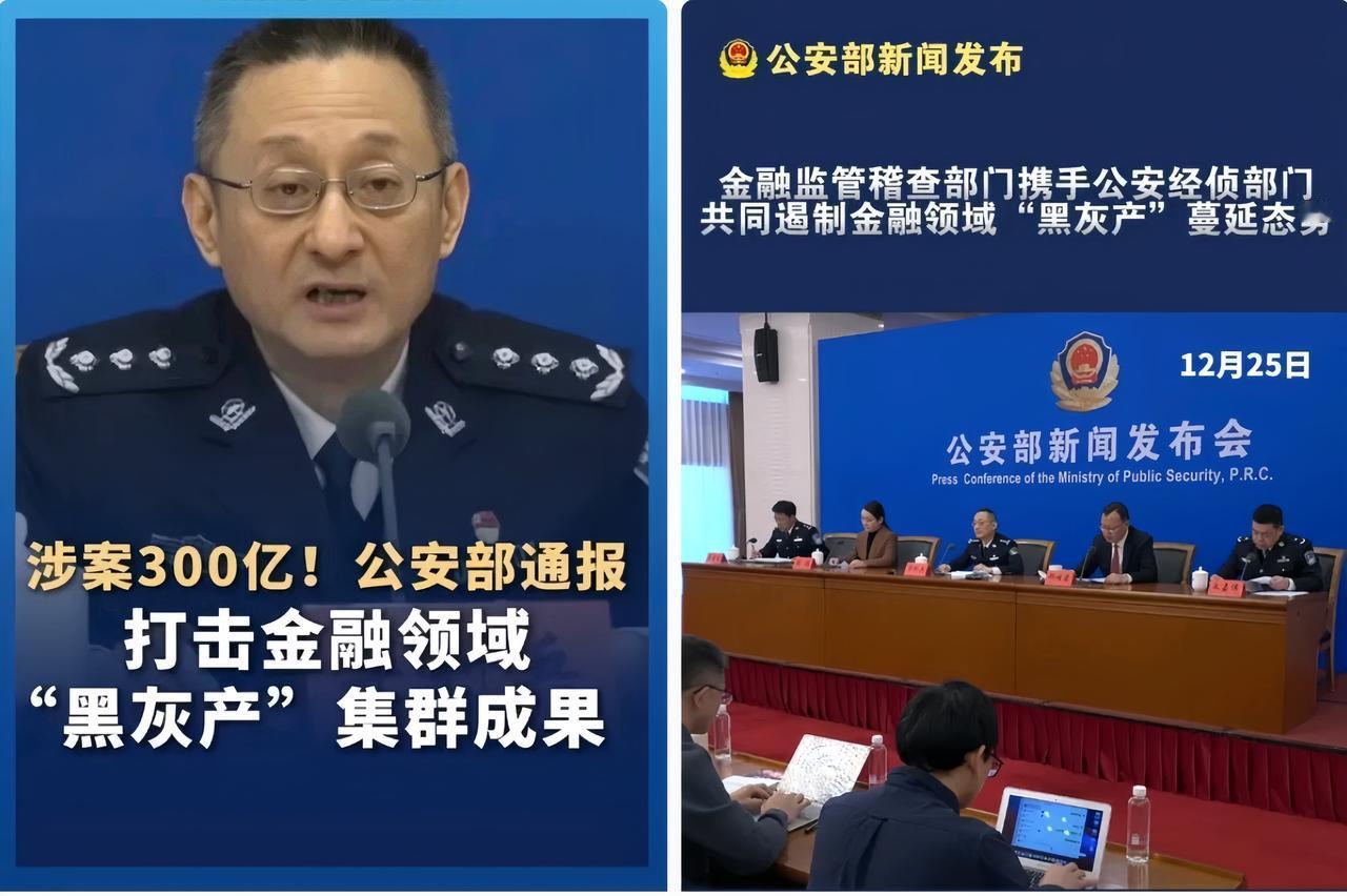 这一刀终究落下，狠狠砍在大动脉上，12月25日公安 部那场会，看得人脊背发凉，又