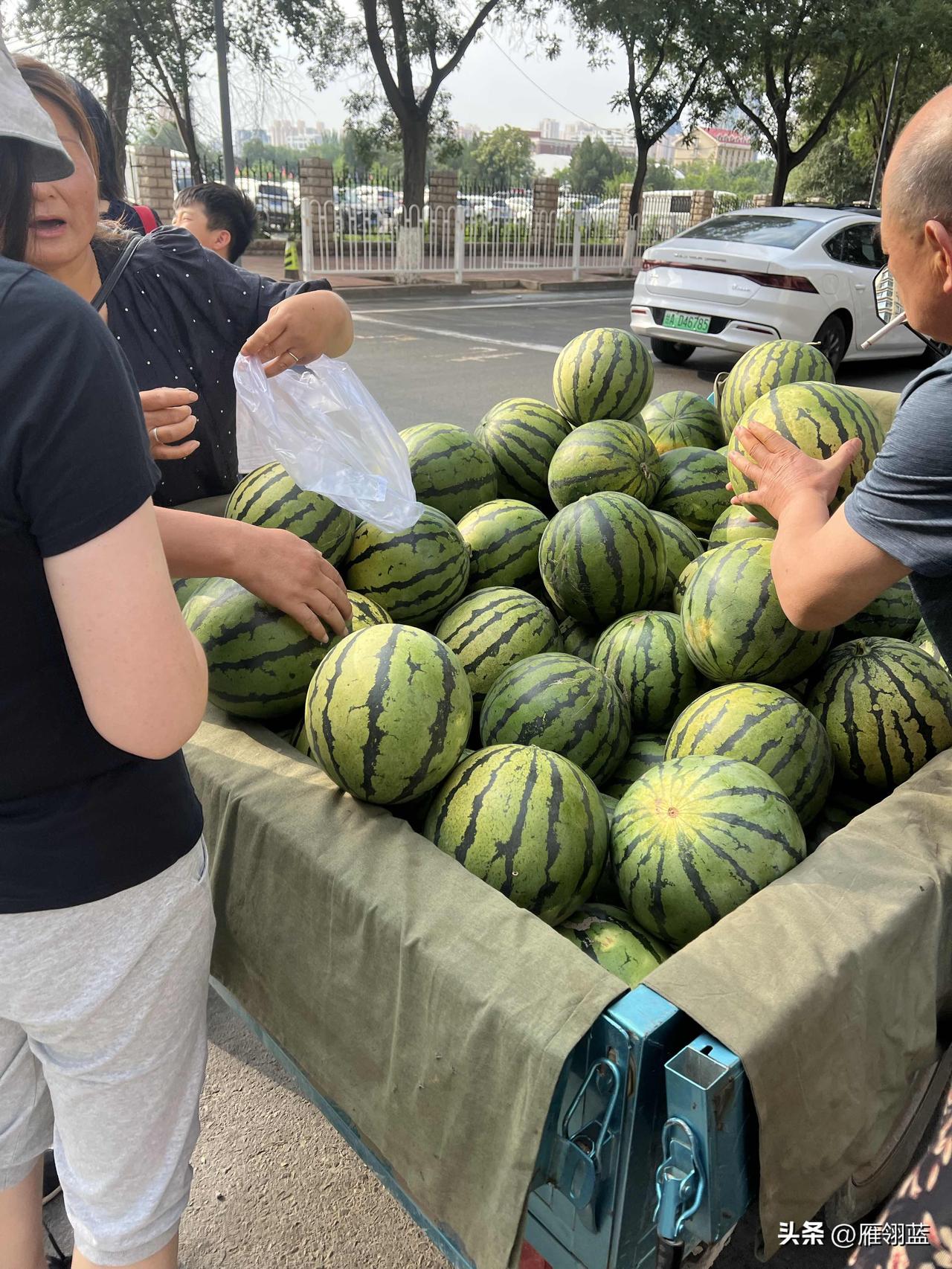 兰州的夏天，蔬菜瓜果既新鲜又便宜，这是我前几天在兰州市安宁区植物园对面的枣林路市
