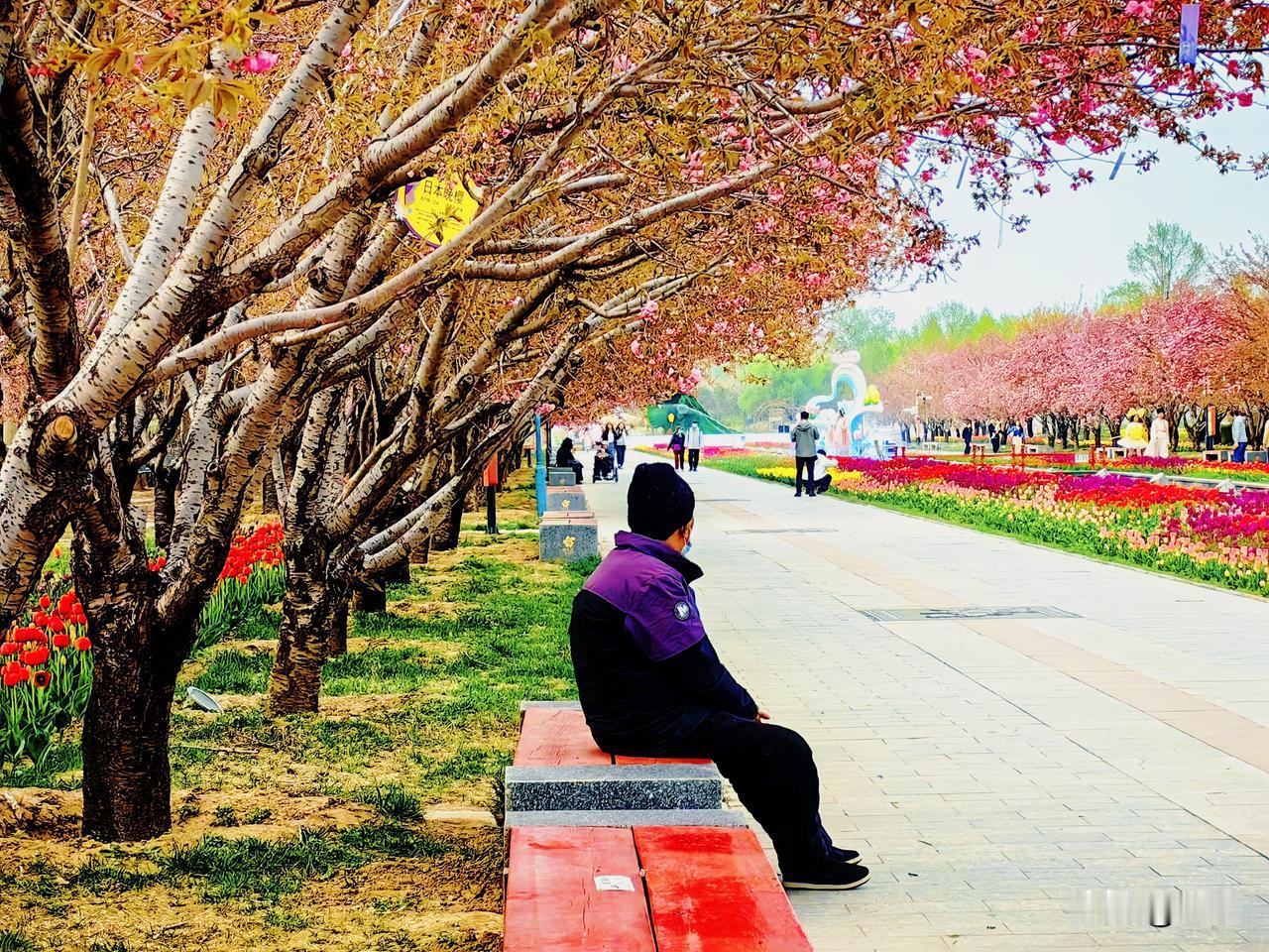 老年生活感悟：老年阶段是人生的转折，更是生命的温柔升华。可以让后半生成为全新的起