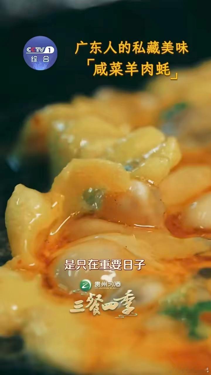 广东人的梦中情饭干饭人去汕尾必冲咸菜羊肉蚝三餐四季时光淬炼地道风味，蚝香渗进羊腩