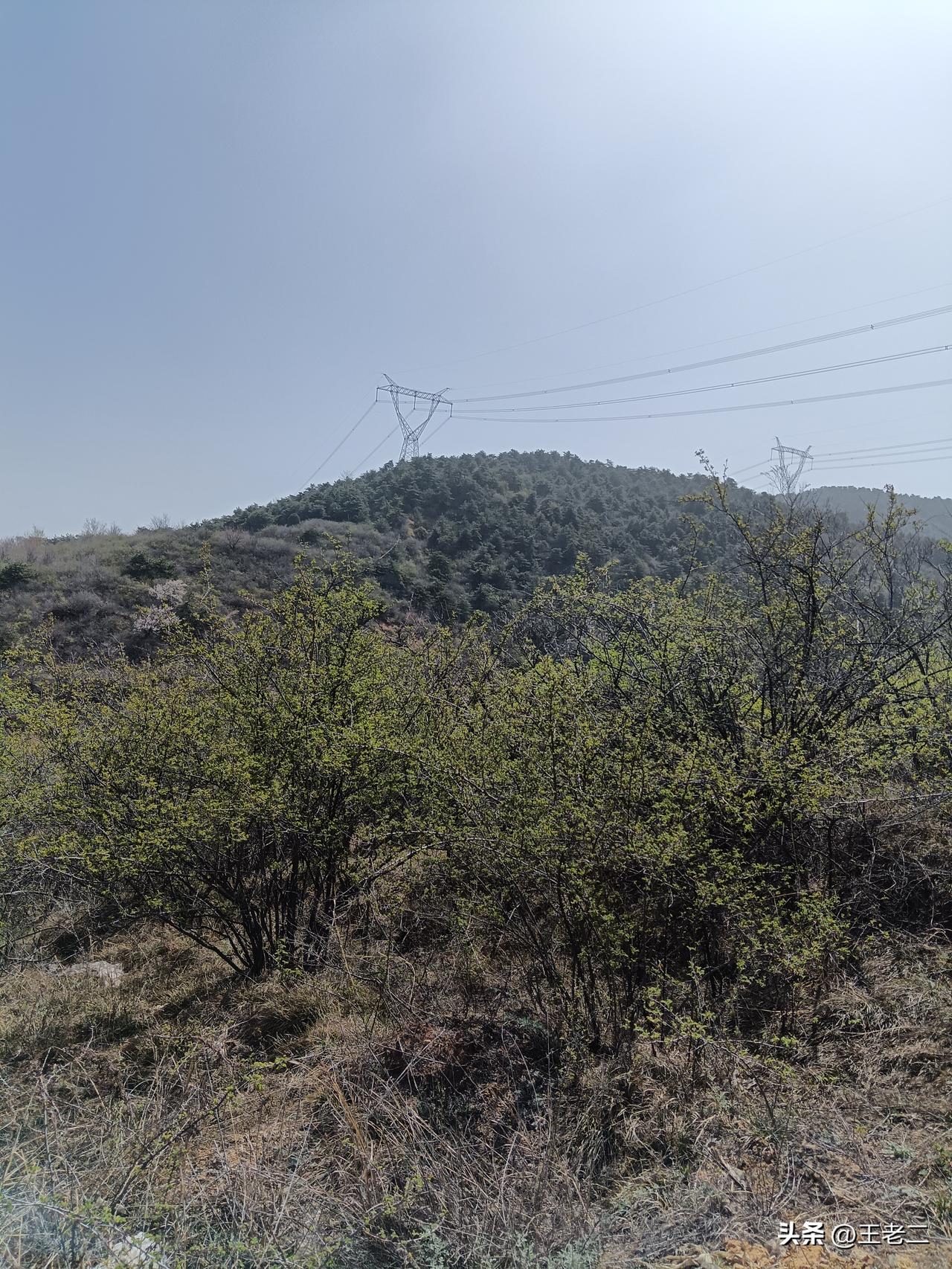 故乡的山，故乡的水，故乡有我童年的记忆。每一次回家，都会让我想起自己的童年时代。