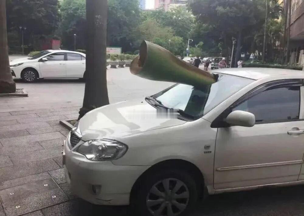 在深圳看到这样的警示千万要当真 ​​​