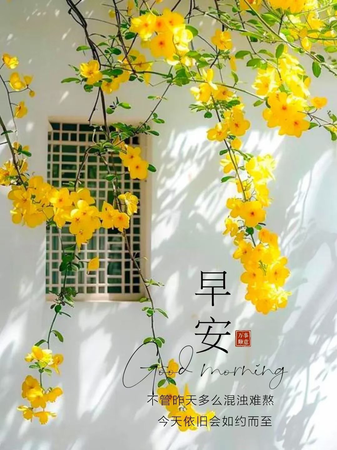 对明天真正的期许，是过好今天的一切，花会沿路盛开，所有不要害怕，勇敢奔赴在每一天