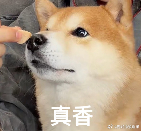 说实话，Xun是有点害怕Monki的，有没有一种可能AL零封EDG后，下一场打得
