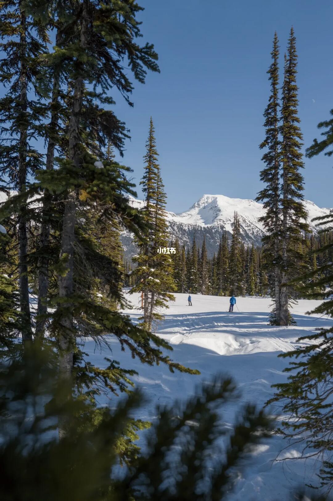 北美最不能错过的滑雪胜地Whistler，绝美！