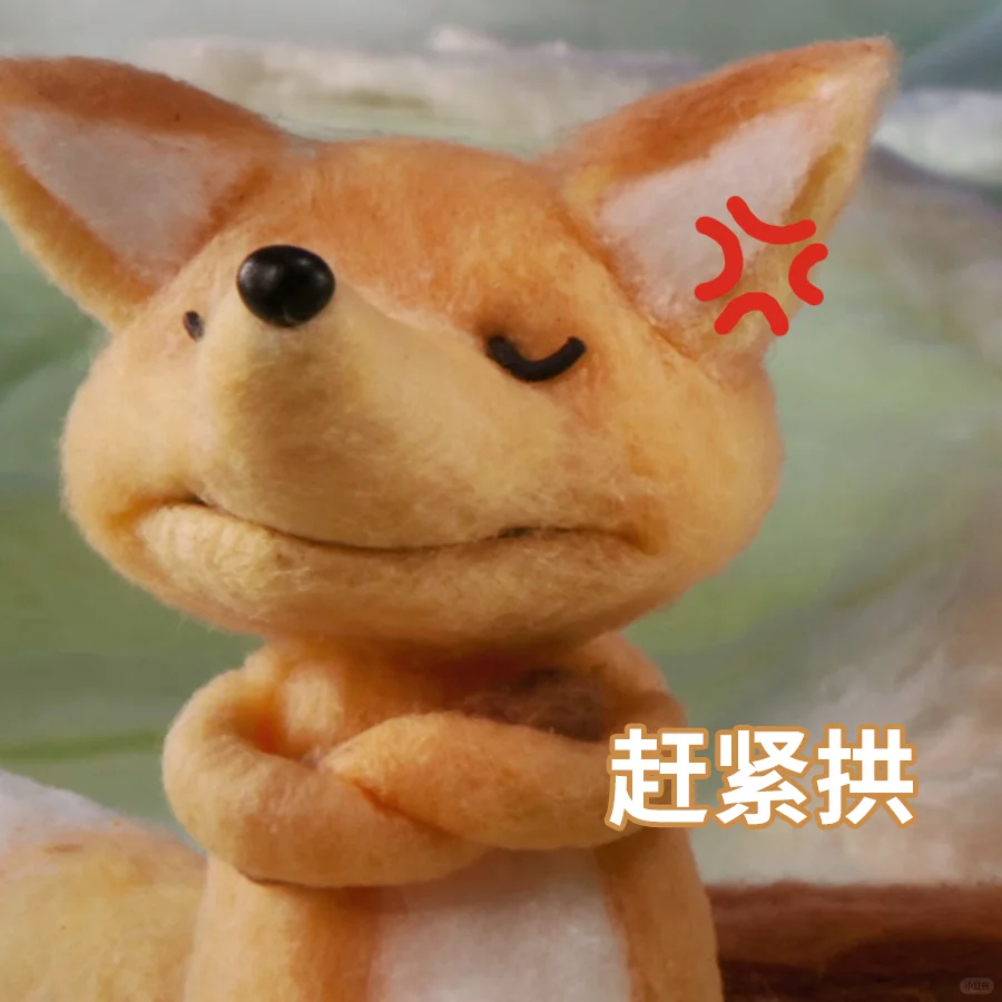 这下谁还能分清哪个是真狐狸 