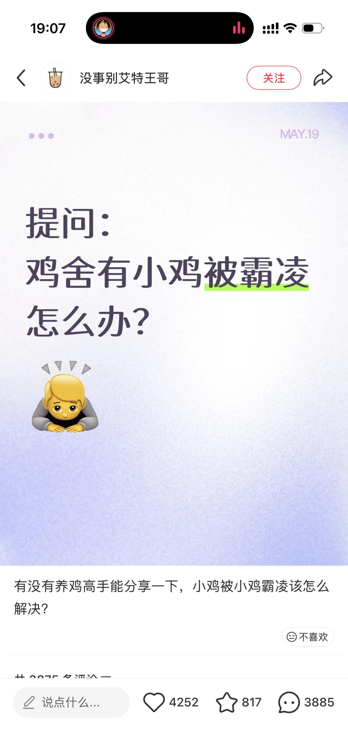 我笑惨了，王俊凯你继续串呀 