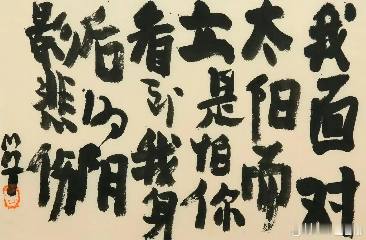 曾翔先生发布于北京的最新作品，内容很有意思：“我面对太阳而立是怕看到我身后的阴影