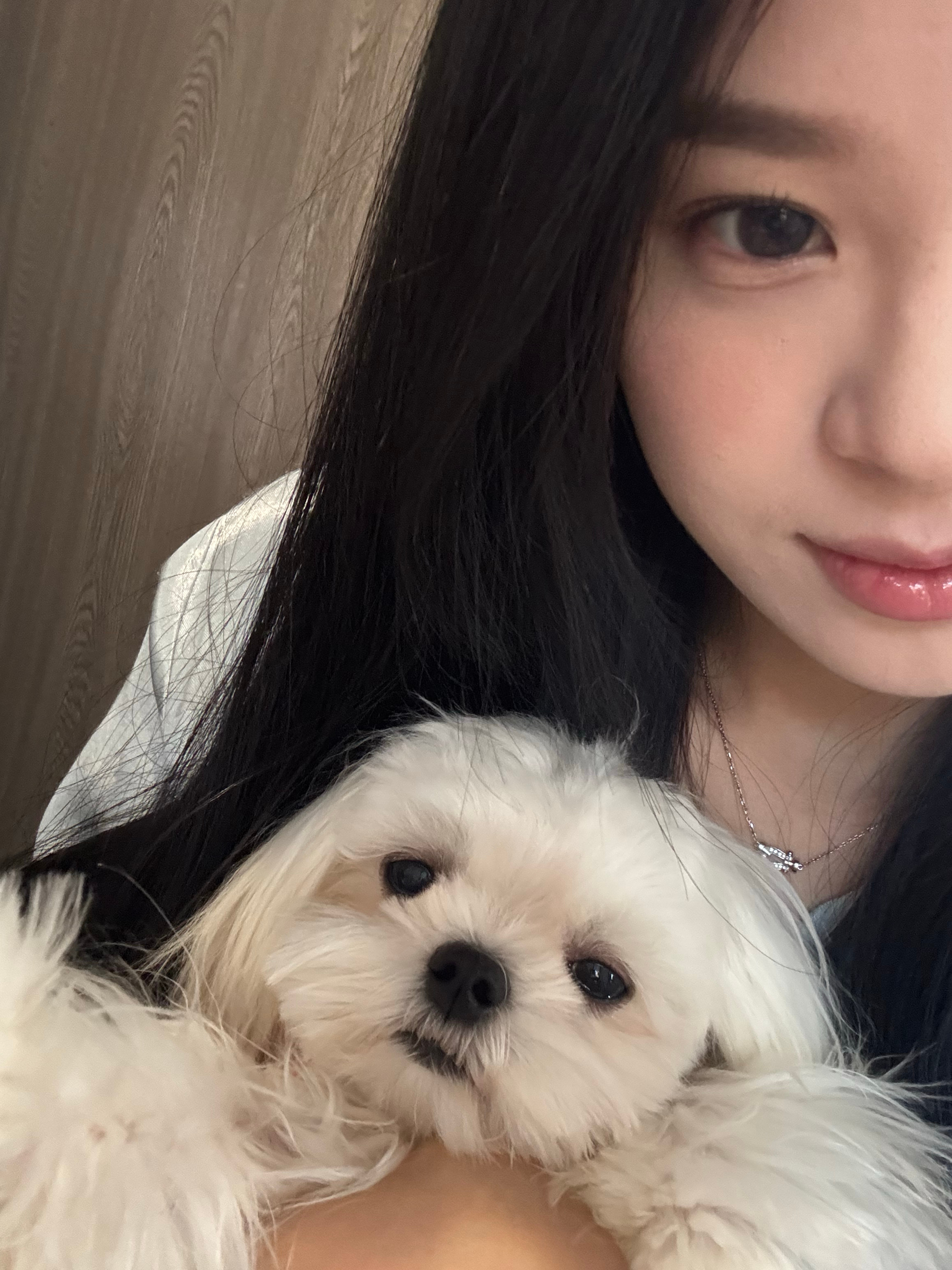 臭木 ​​​