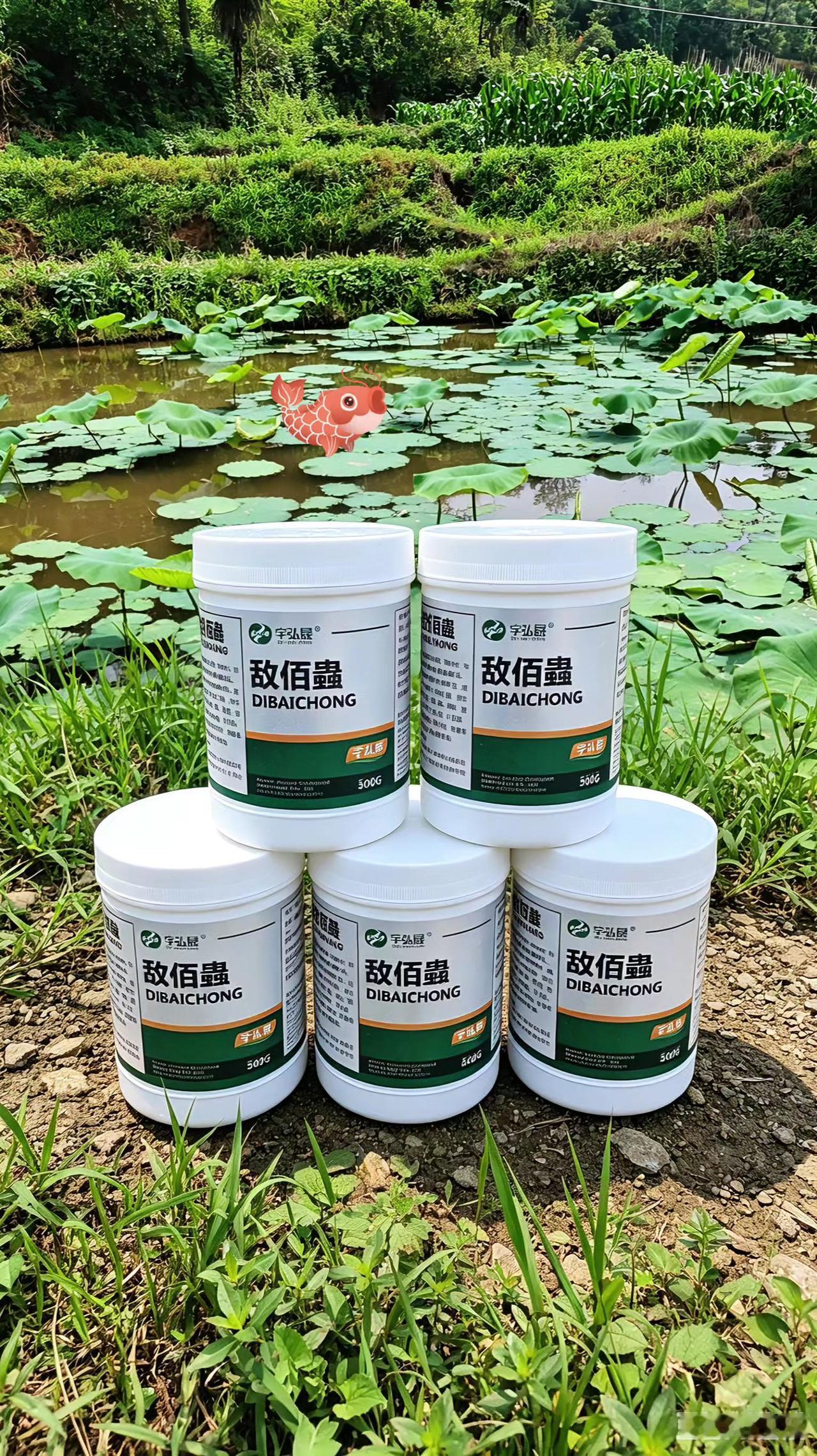 敌佰蟲 鱼塘养殖 鲢鱼 鲤鱼 草鱼
