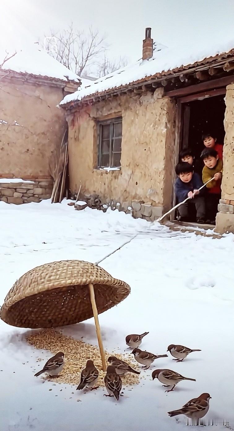 [兔年大吉]《行香子·捕雀》
               （一）
 雪落无声，