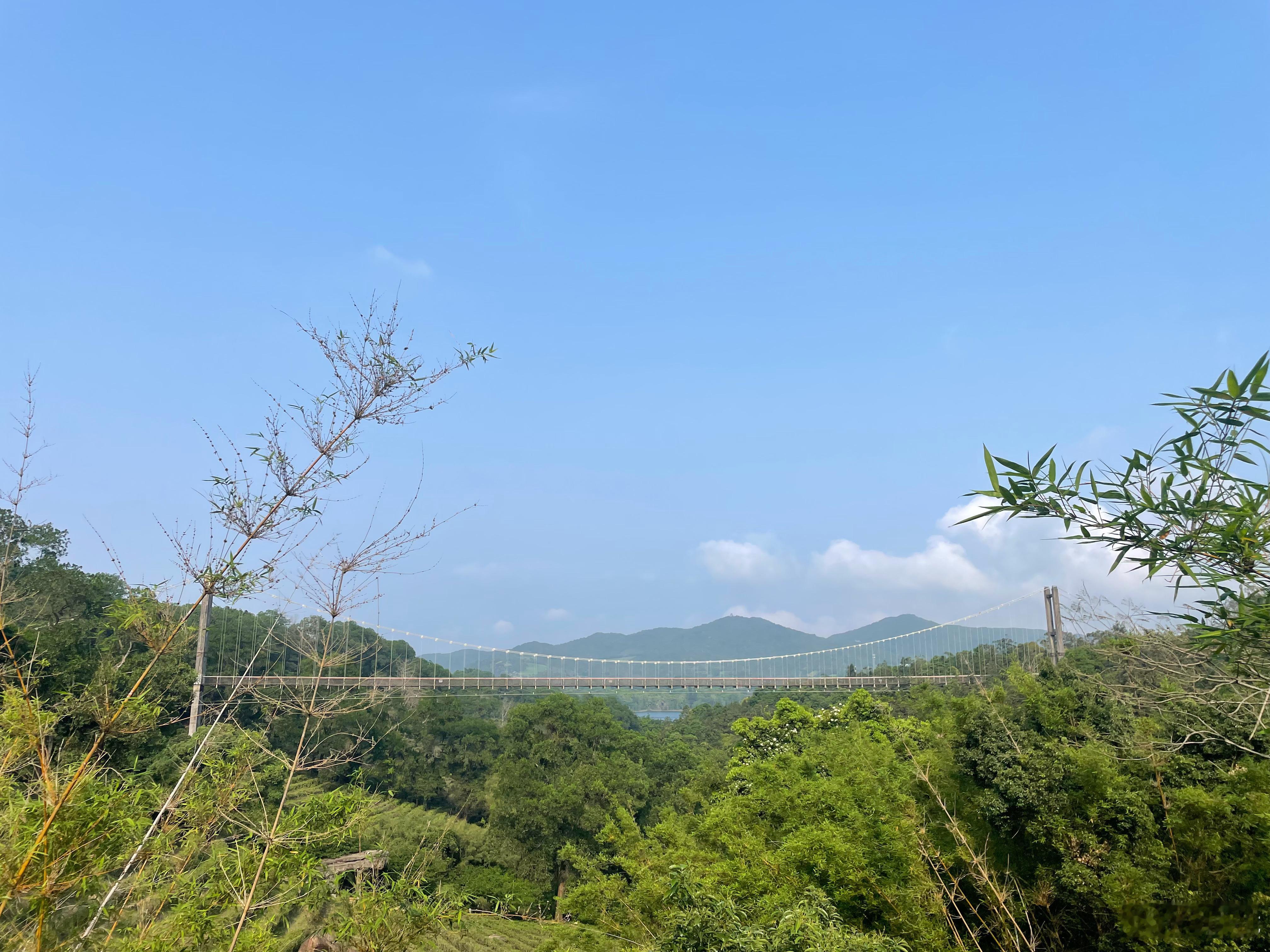 现在东部华侨城茶溪谷免费开放，无需预约直接冲！不过目前开放区域主要是茵特拉根小镇