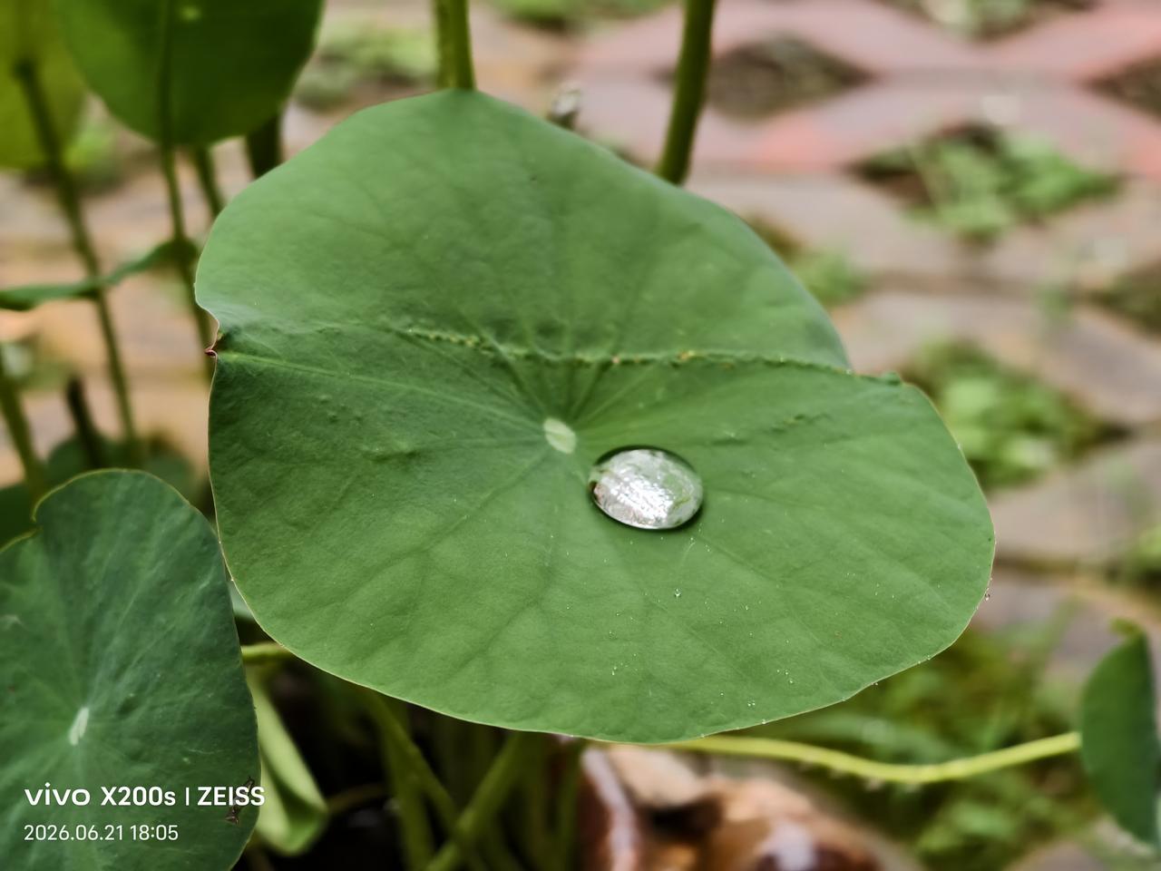 我认为是：高学历的人能快速找到工作，最少它比低学历的寻找工作岗位的条件会多一些，