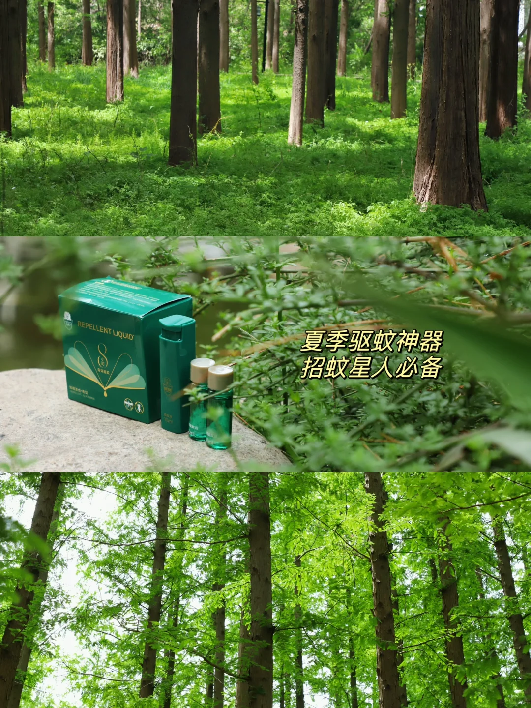 春日出游｜包里必带介个防蚊神器！！