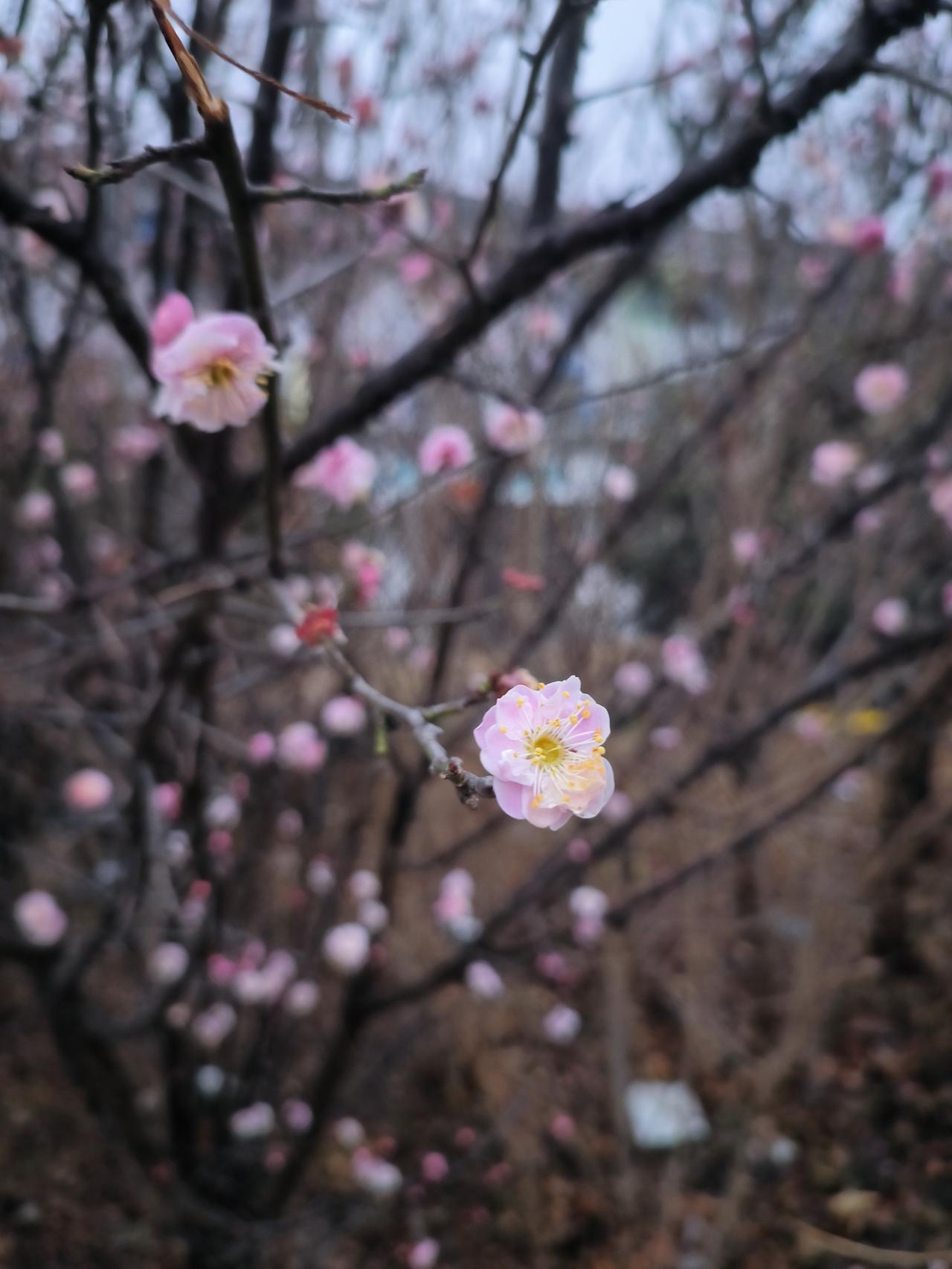 现在通信手段发达是好还是坏，那天和几个校长一起讨论这个话题。

过去军事上打仗，