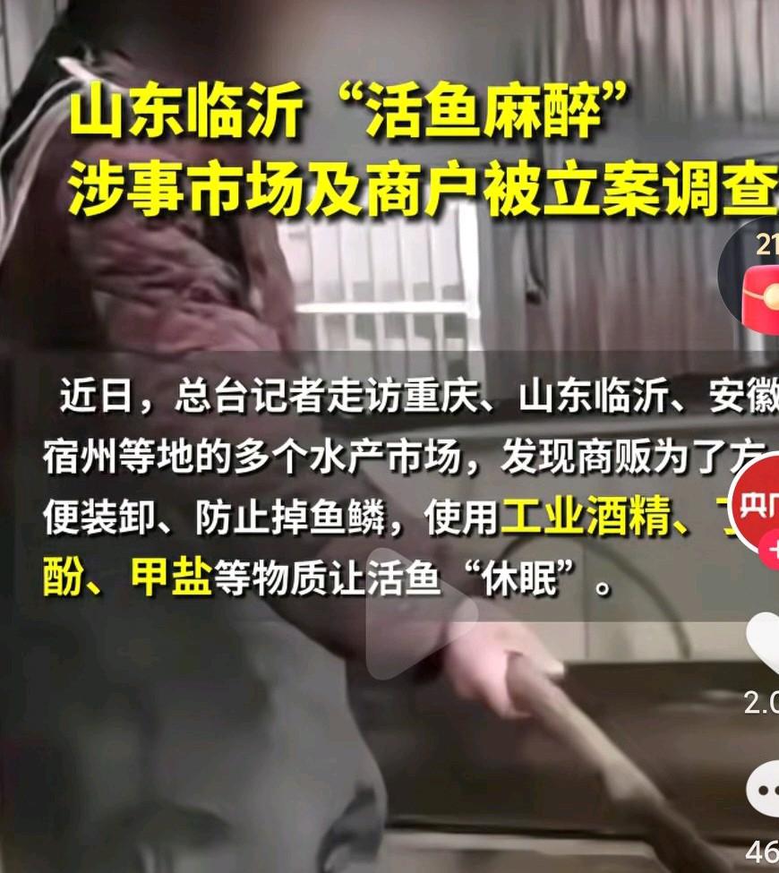 给鱼麻醉，我真的是涨知识了啊，这现在各行各业都变成了什么样呢？只要是挣钱的行业还