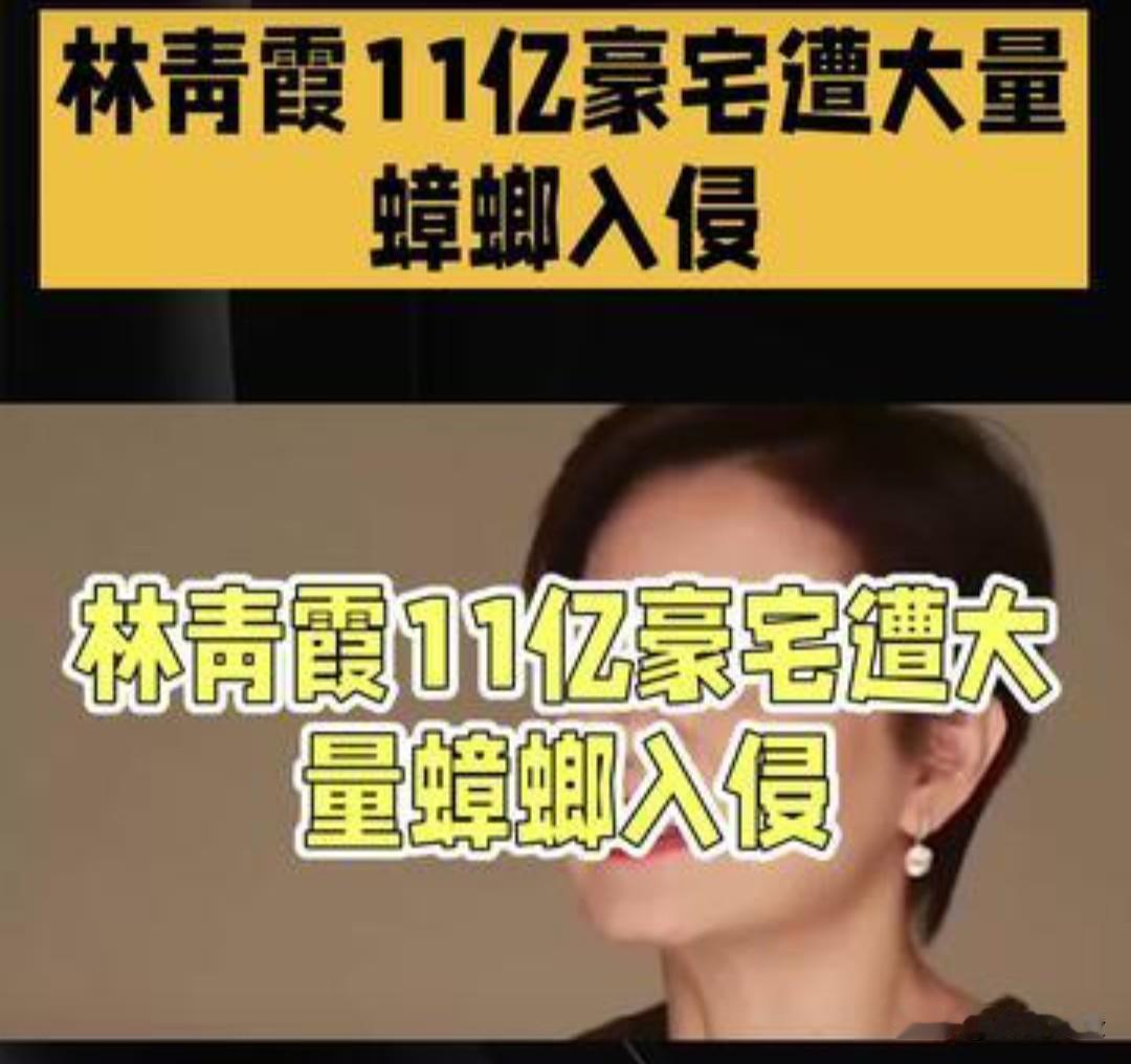 林青霞自曝豪宅遭大量蟑螂入侵
11亿豪宅也逃不过“小强”？不过也正常，南方城市天