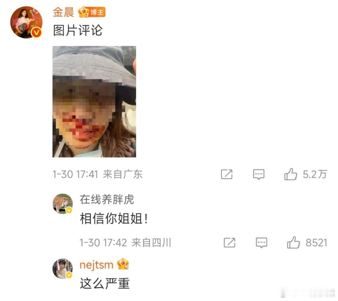 金晨鼻子金晨道歉了，看了她发的受伤照片，还挺严重的，当时去处理伤情很正常，助理应