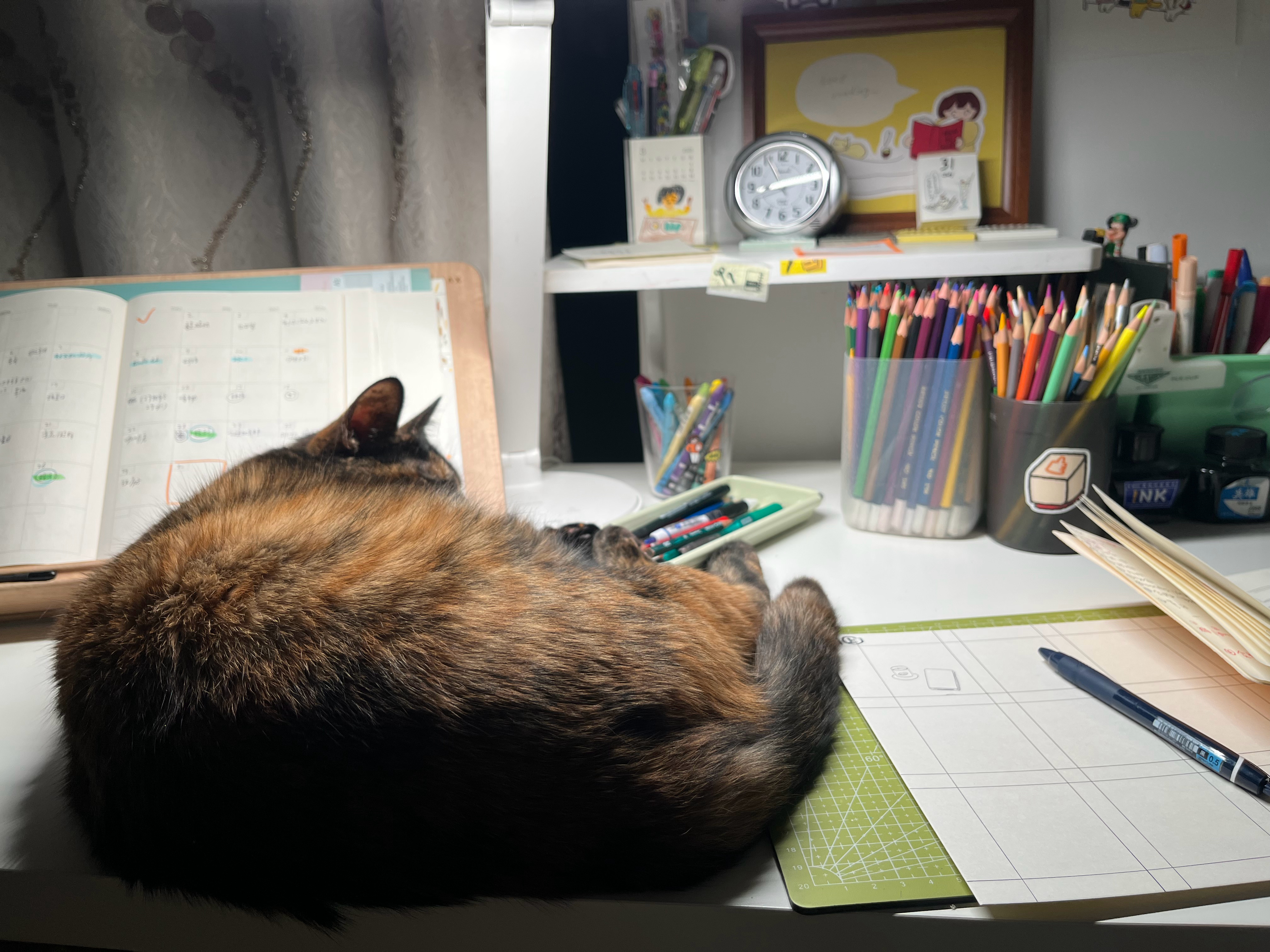 今晚再画两张 