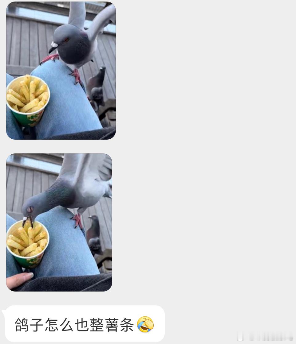 薯条谁不爱呢🙊咕勇者！！ ​​​