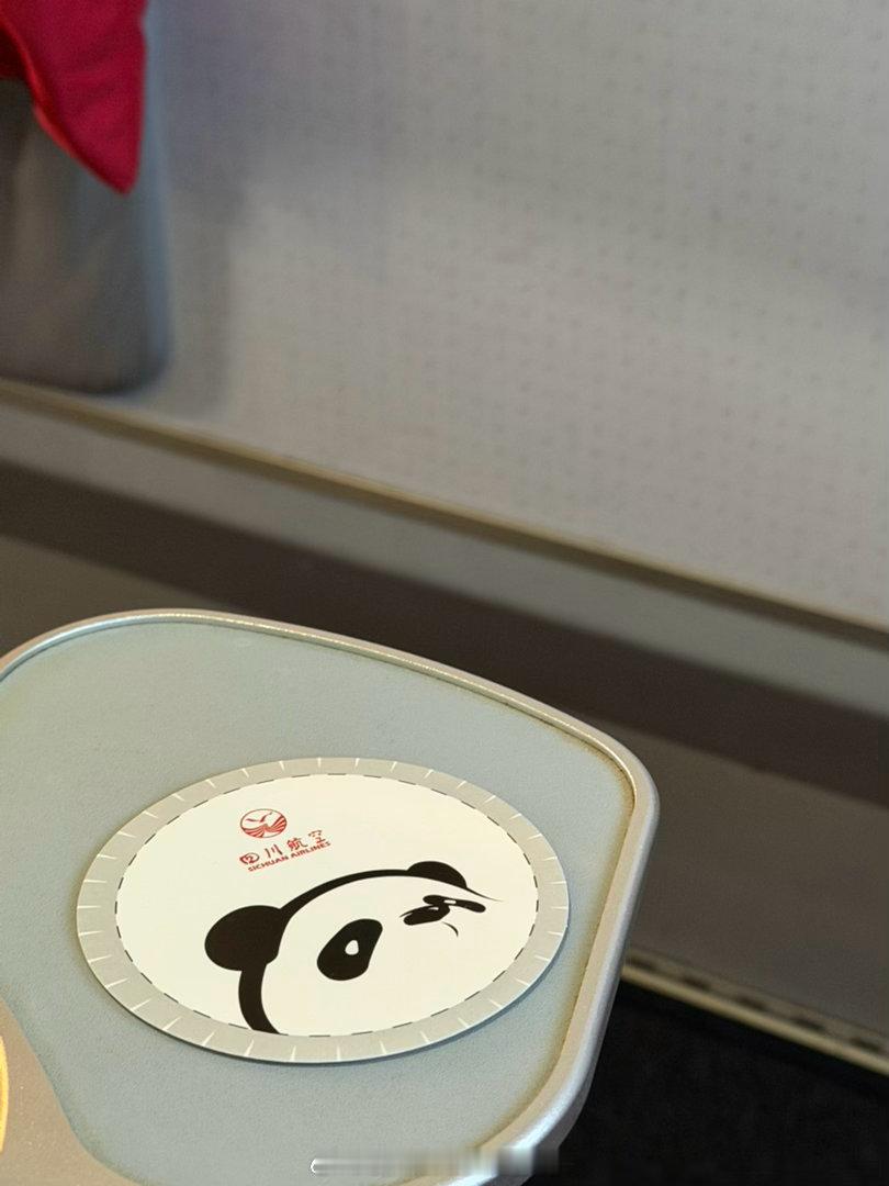 好了川航公务舱的餐食这次祛魅了只有一个番茄肉末面挺不错的其他的菜品那都啥呀特别是