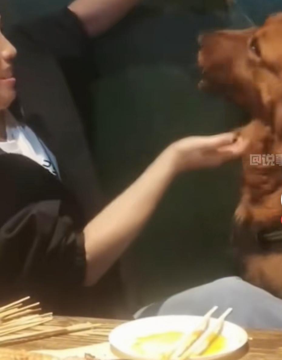 你见过狗与人，在同一个烧烤店吃烧烤吗？
     这是最近发生在某海滨城市，一个
