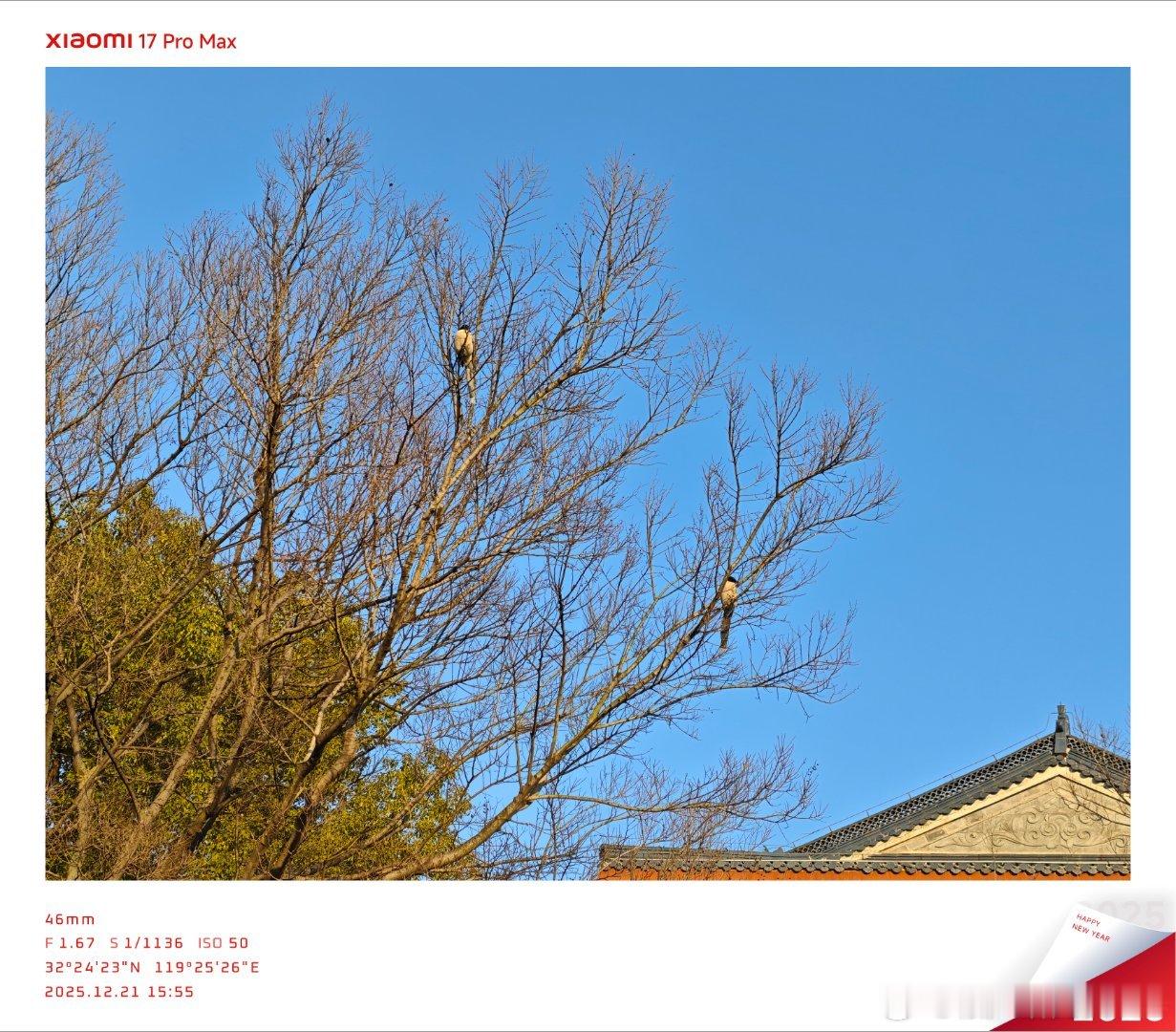 平安夜读书摘要：「平静只能存在于当下」如果这个时刻你没有生活在平静中，你将永远都