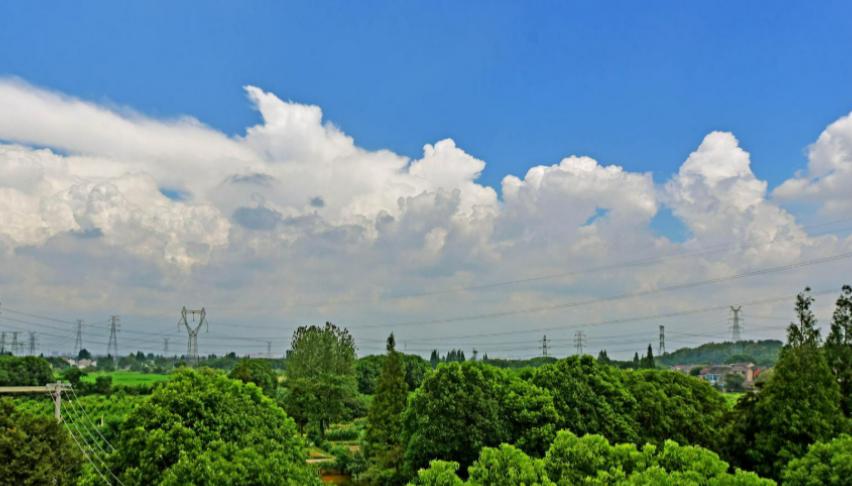 为应对台风可能带来的风暴潮及强降雨影响，上海市于7月11日启动大规模人员转移安置