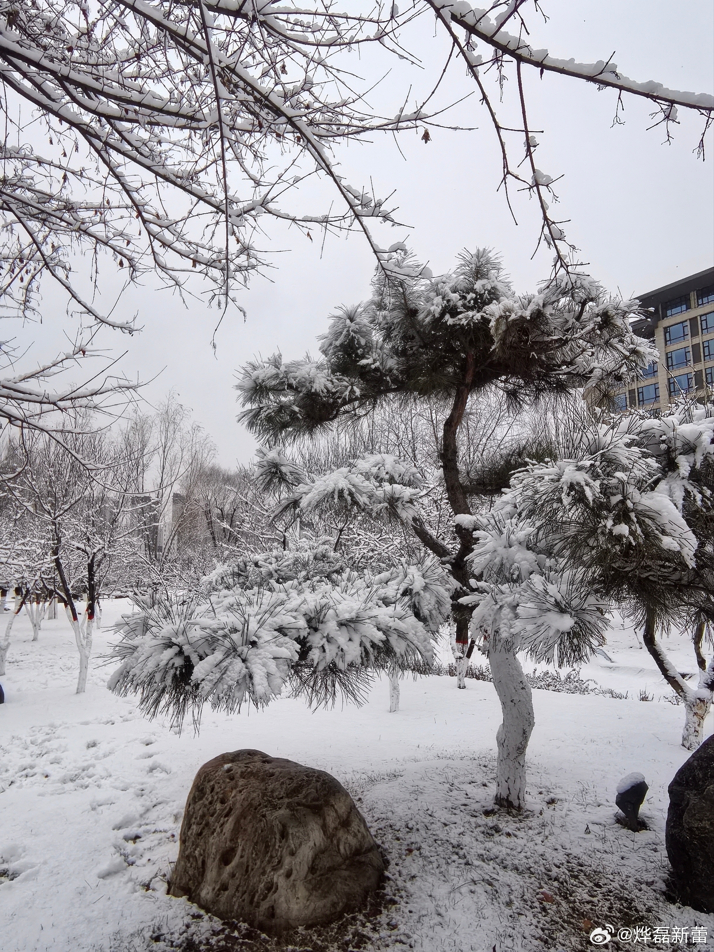 低温天懒人穿搭公式 低温天，冰天雪地里，我觉得就是一件中长款品牌羽绒服和一件保暖