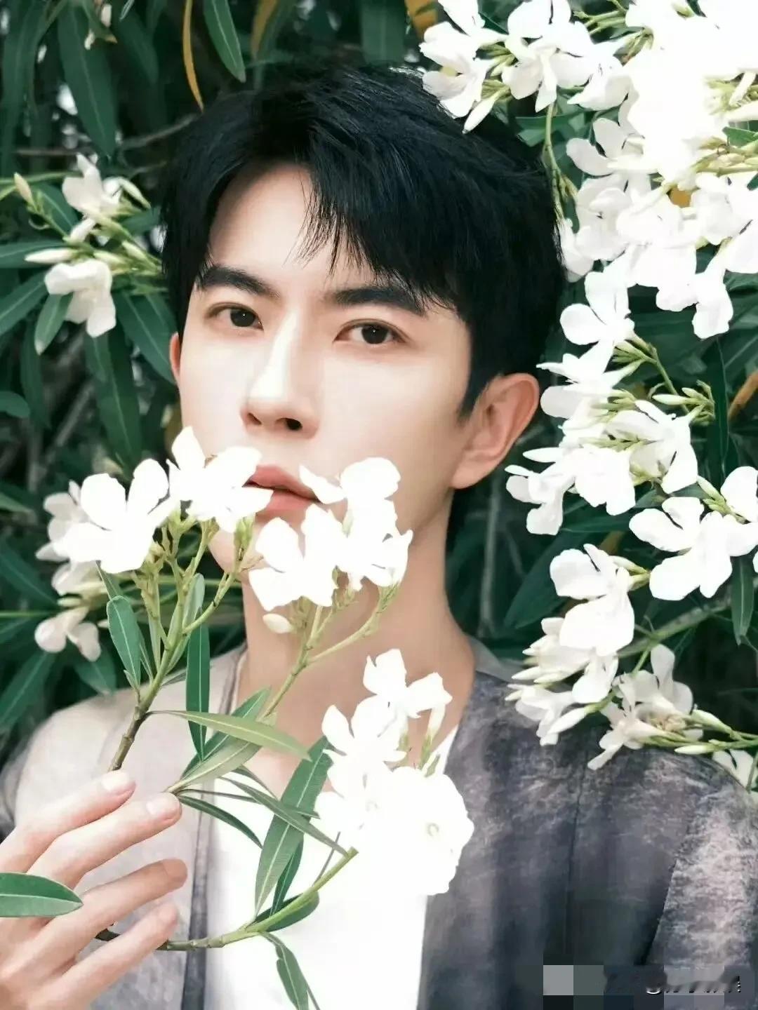 他真的在花丛中
长眠不起了

国风正当红 你认为最帅的男星是谁 飞花无迹