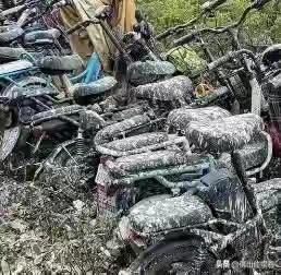 佛山这小区可太闹心了，被“鸟屎雨”折磨好几个月。成千上万只家燕天天在小区上空盘旋