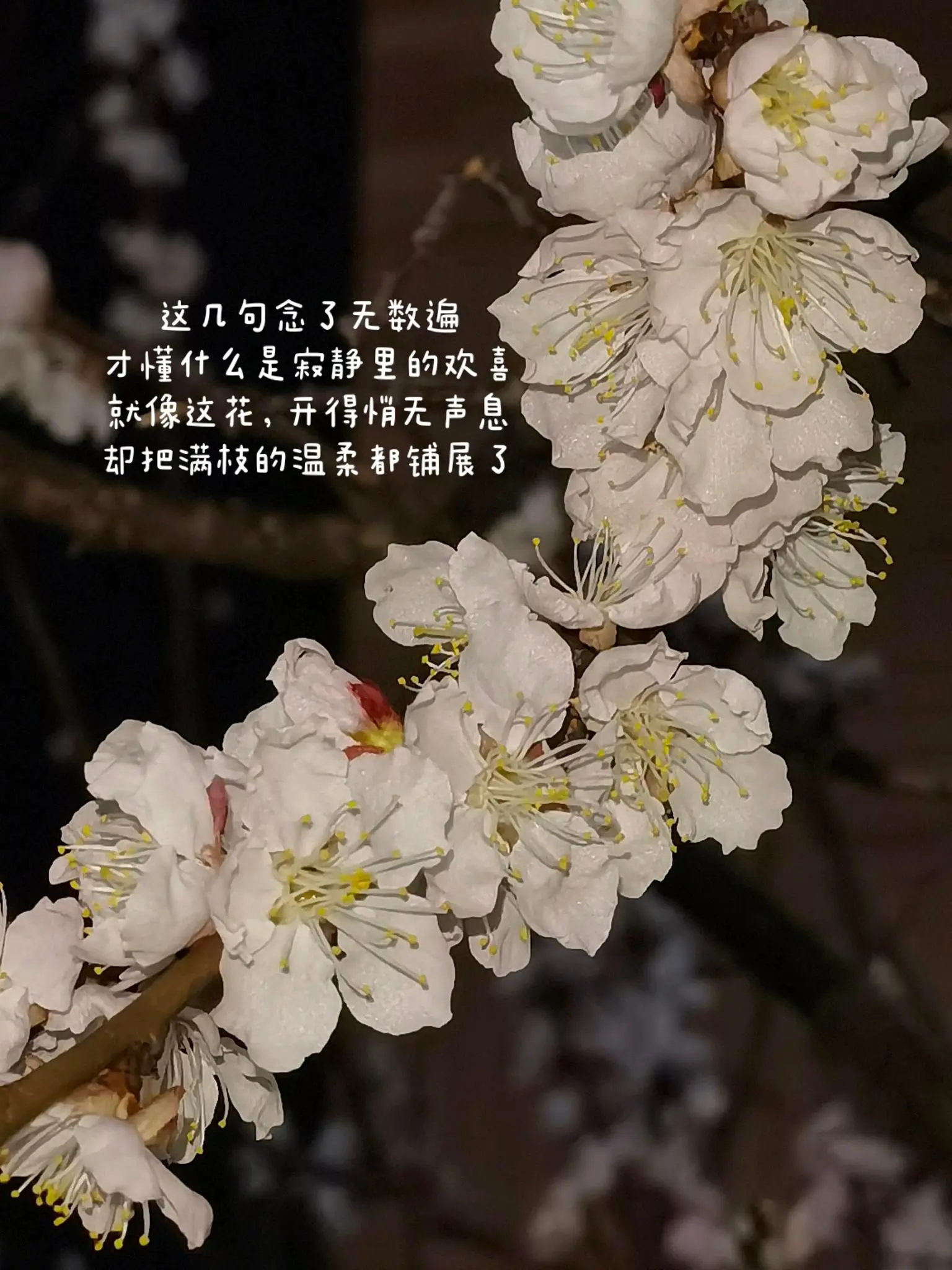 你见，或者不见我，我就在那里，不悲不喜 你念，或者不念我，情就在那里...