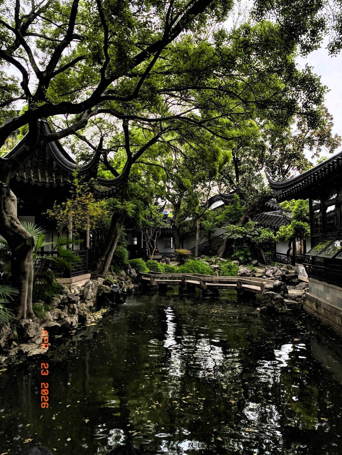 畅园之小，五分钟可走一圈；
畅园之美，怎么看都看不够。