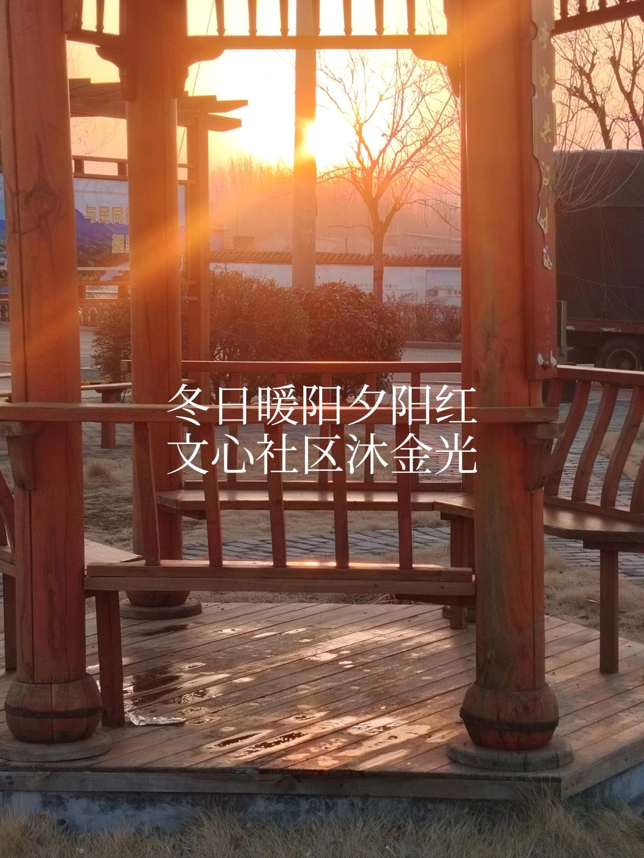 一一兔哥
三九寒天冬阳暧。滨河公园映金光。
山东日照