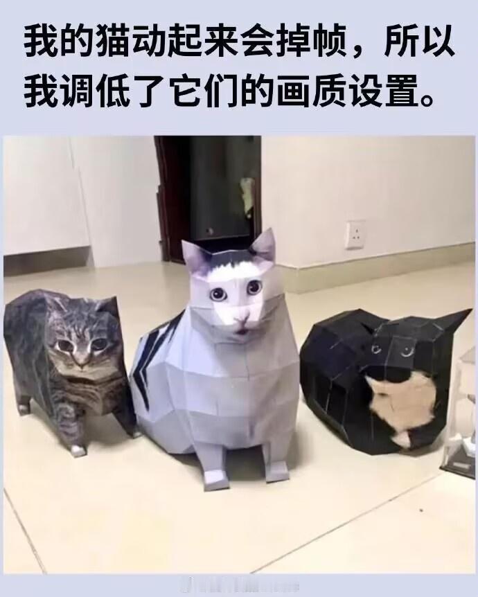 播了 蓄意轰拳衍生蓄意轰拳 ​​​