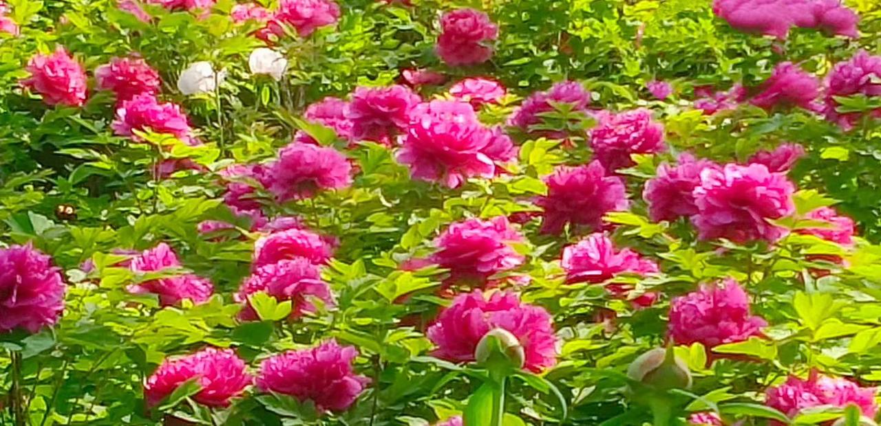 每日抄书打卡。喜欢李白的两句诗：天生我才必有用，千金散尽还复来。自卑时第一句映入