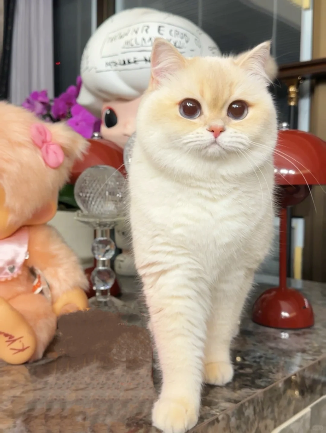 可以帮我看看哪个孩子最聪明吗？