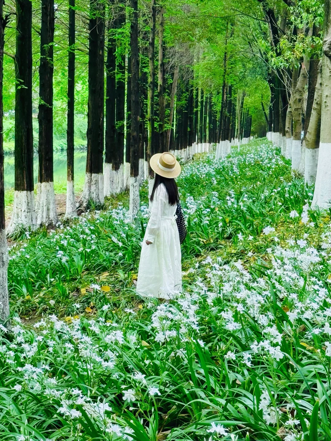 成都拍照🍃｜邂逅开满鸢尾花的湖边森林秘镜~