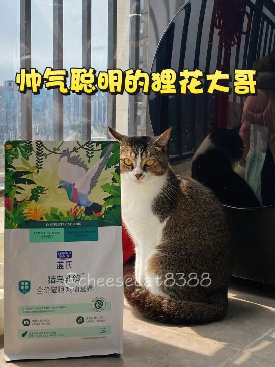 我家喵星人的爱 | 一旦选定我坚持长期主义