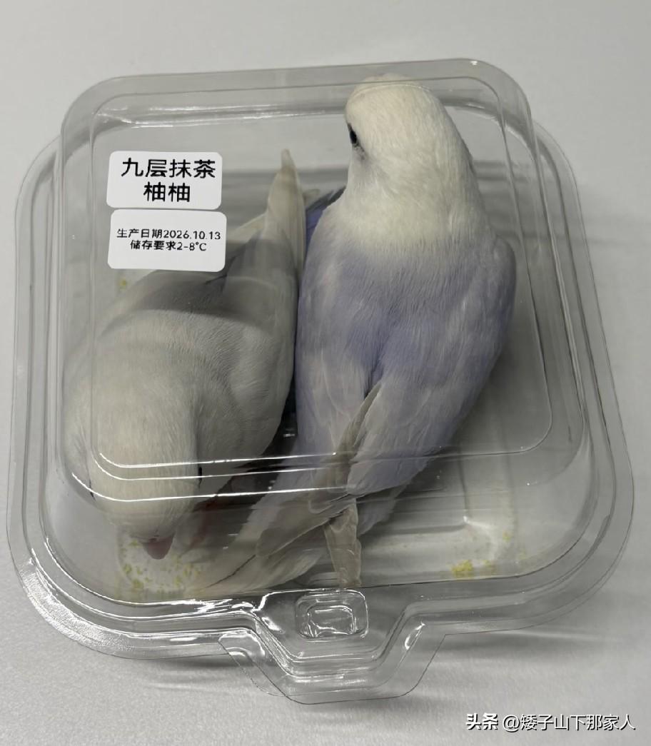 这是糯叽叽糕点[呲牙]