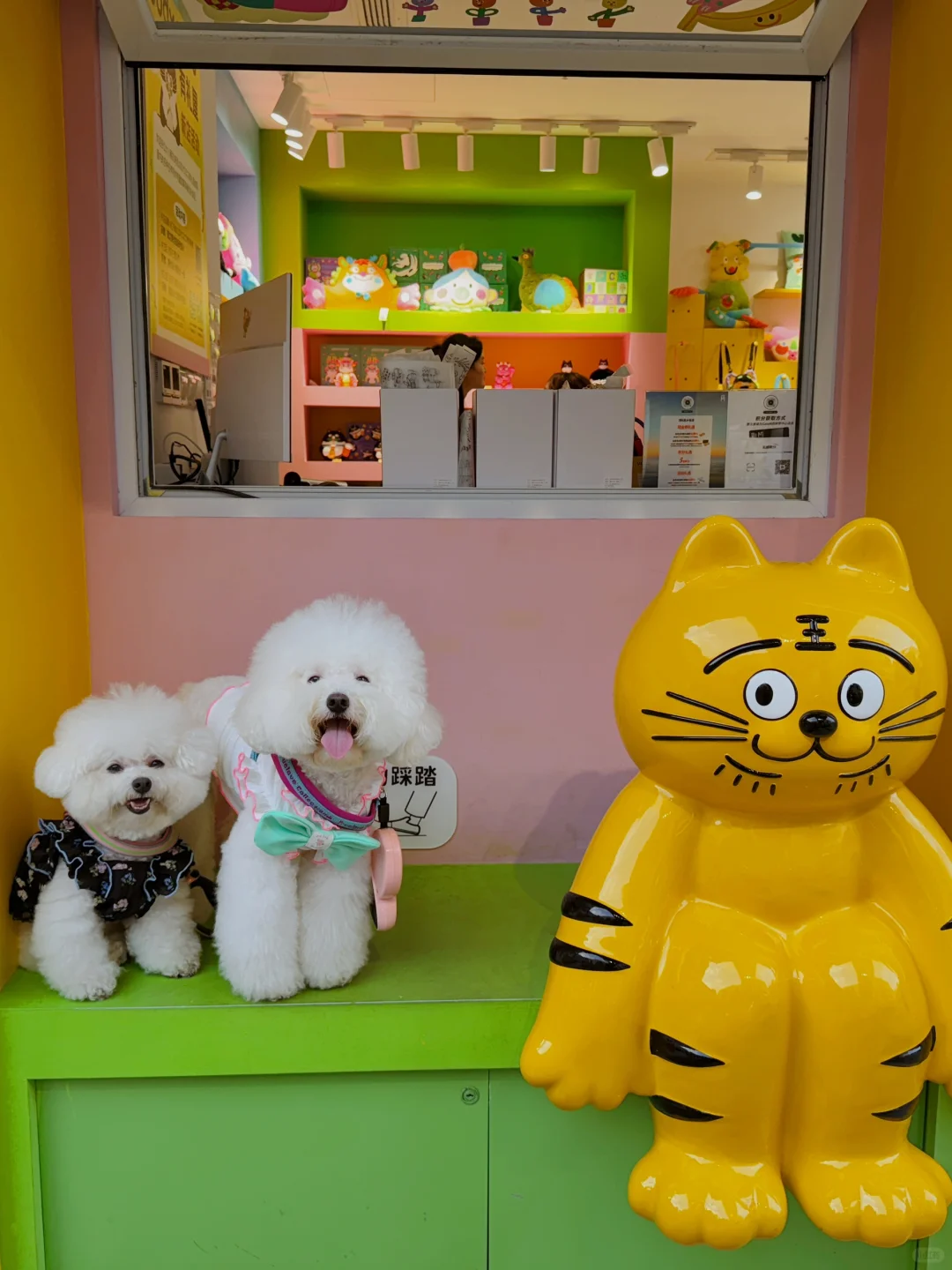 去了个宠物友好新地标-徐汇西岸