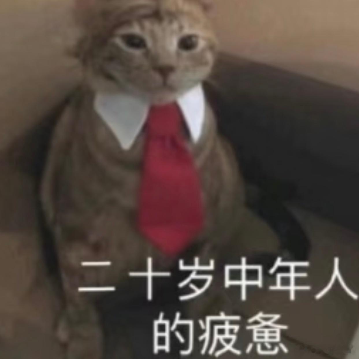 我每天 