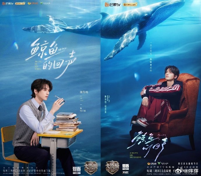 发现了大侦探海报的小巧思大侦探的海报设计越来越有巧思，上下期拼接成完整鲸鱼，既呼